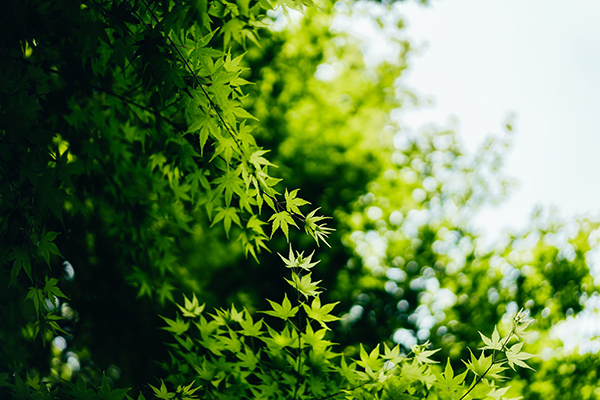 吴潜《水调歌头》