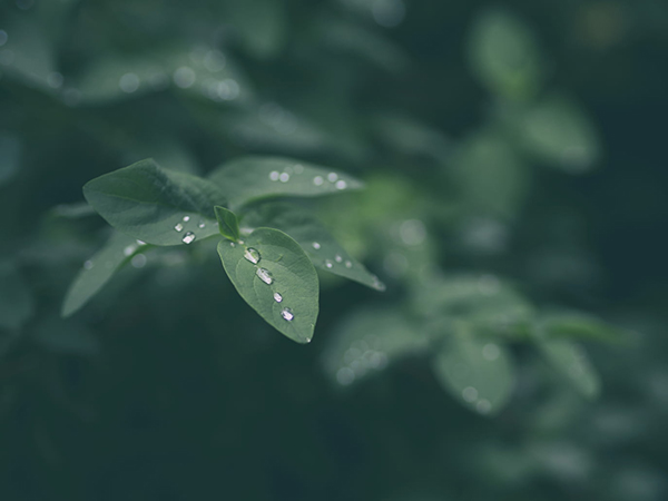 天降罪罟蟊贼内讧如何读