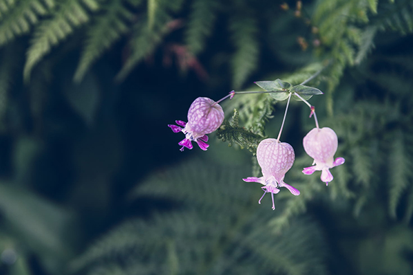 写中秋节的诗 古诗大全