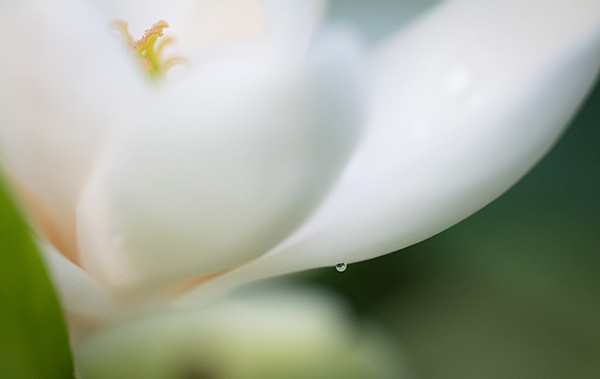 中秋节创意句子