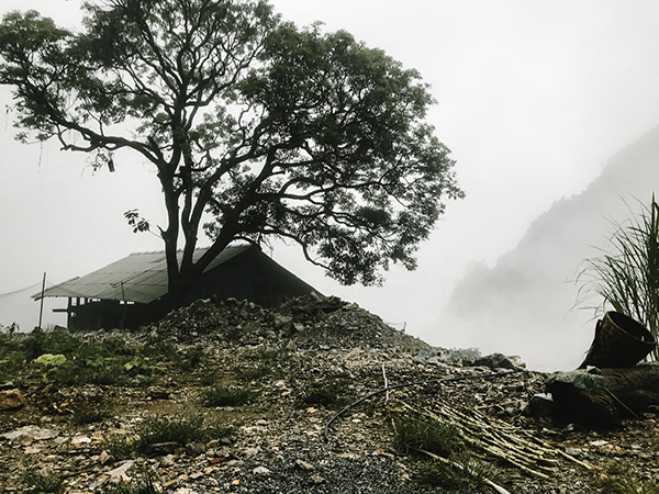 陆游十一月四曰风雨大作